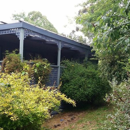 View Mount Vila Sawmill Settlement Exterior foto